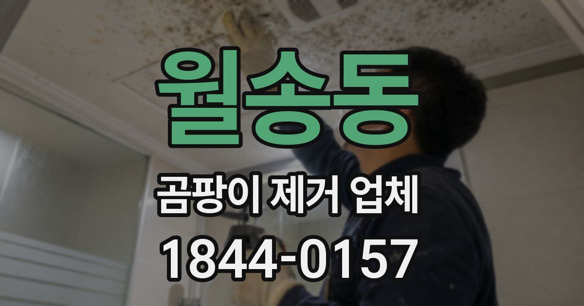 월송동 곰팡이 제거 업체