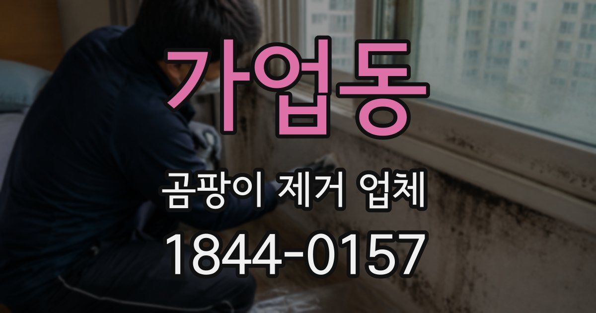가업동 곰팡이 제거 업체