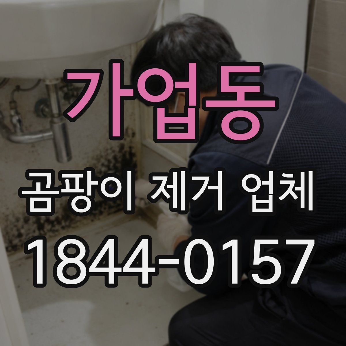 가업동 곰팡이 제거 업체