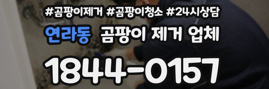 연라동 곰팡이 제거 업체