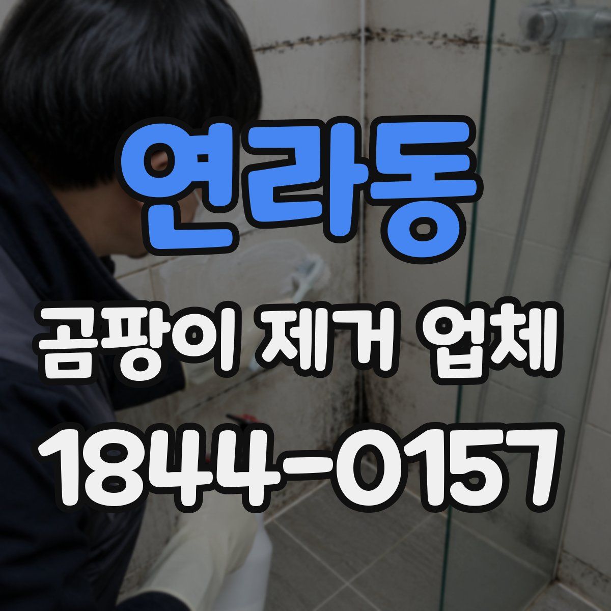 연라동 곰팡이 제거 업체