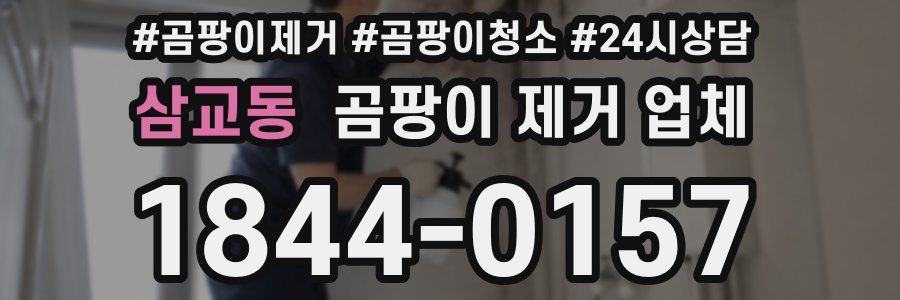 삼교동 곰팡이 제거 업체