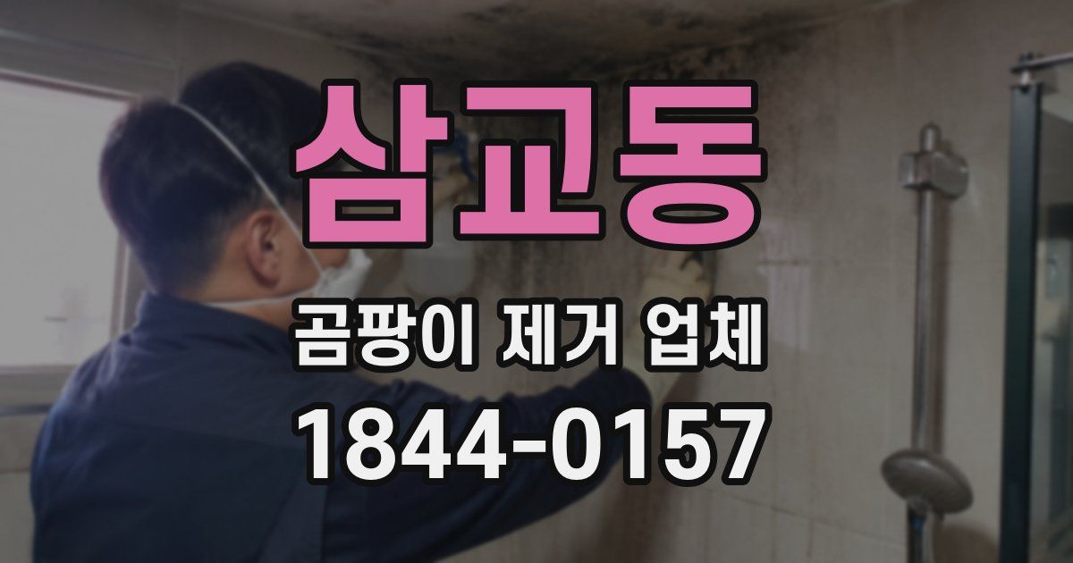 삼교동 곰팡이 제거 업체