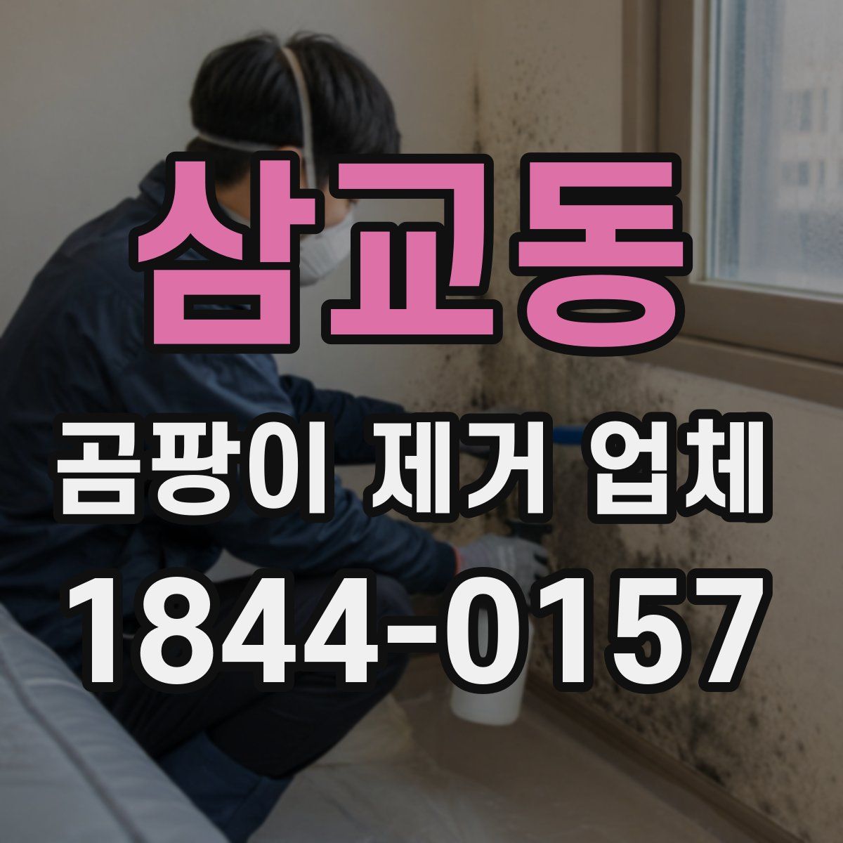 삼교동 곰팡이 제거 업체