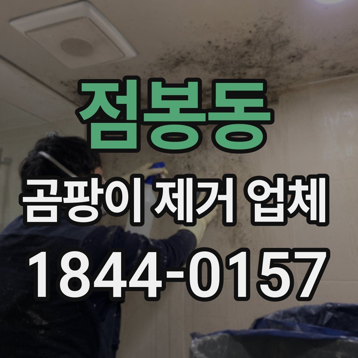 점봉동 곰팡이 제거 업체 결로 흔적과 습도 점검이 필요한 이유