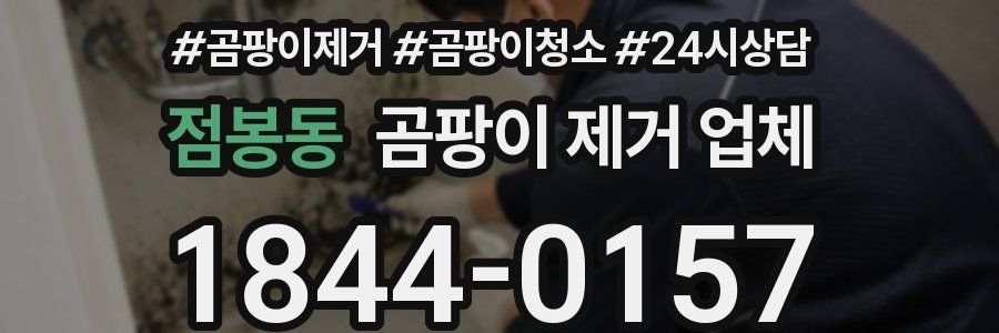 점봉동 곰팡이 제거 업체