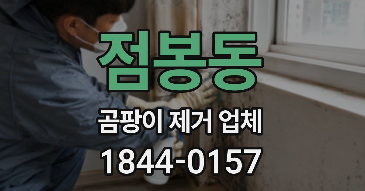 점봉동 곰팡이 제거 업체