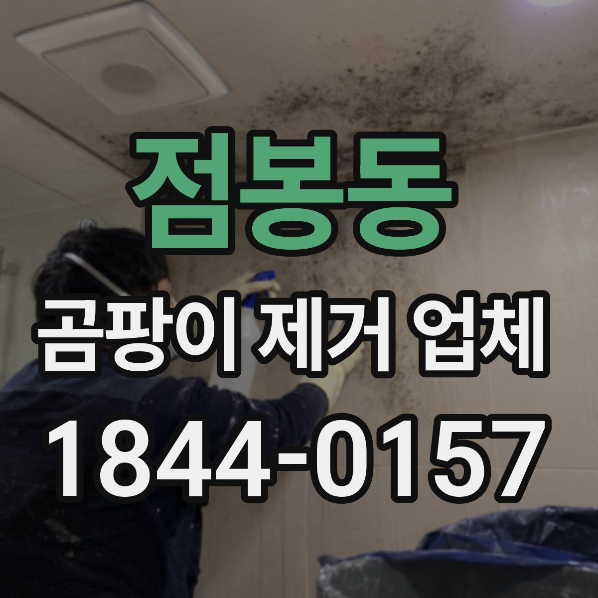 점봉동 곰팡이 제거 업체