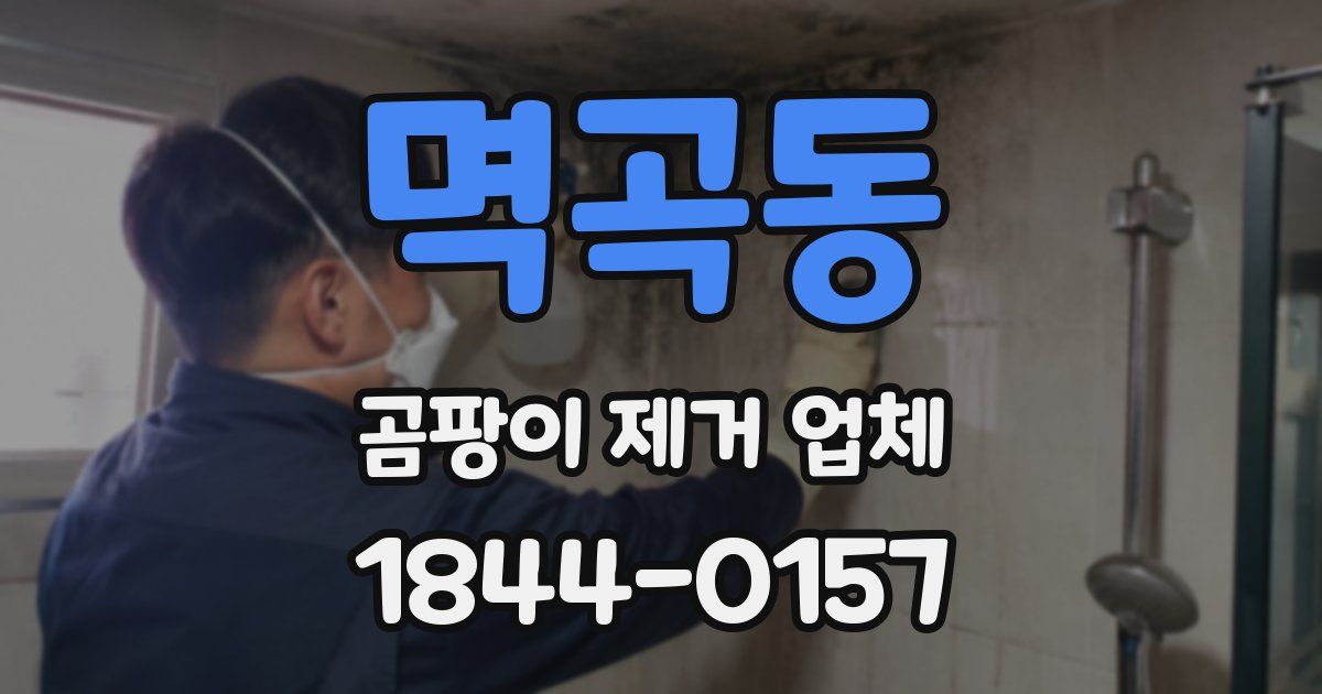 멱곡동 곰팡이 제거 업체