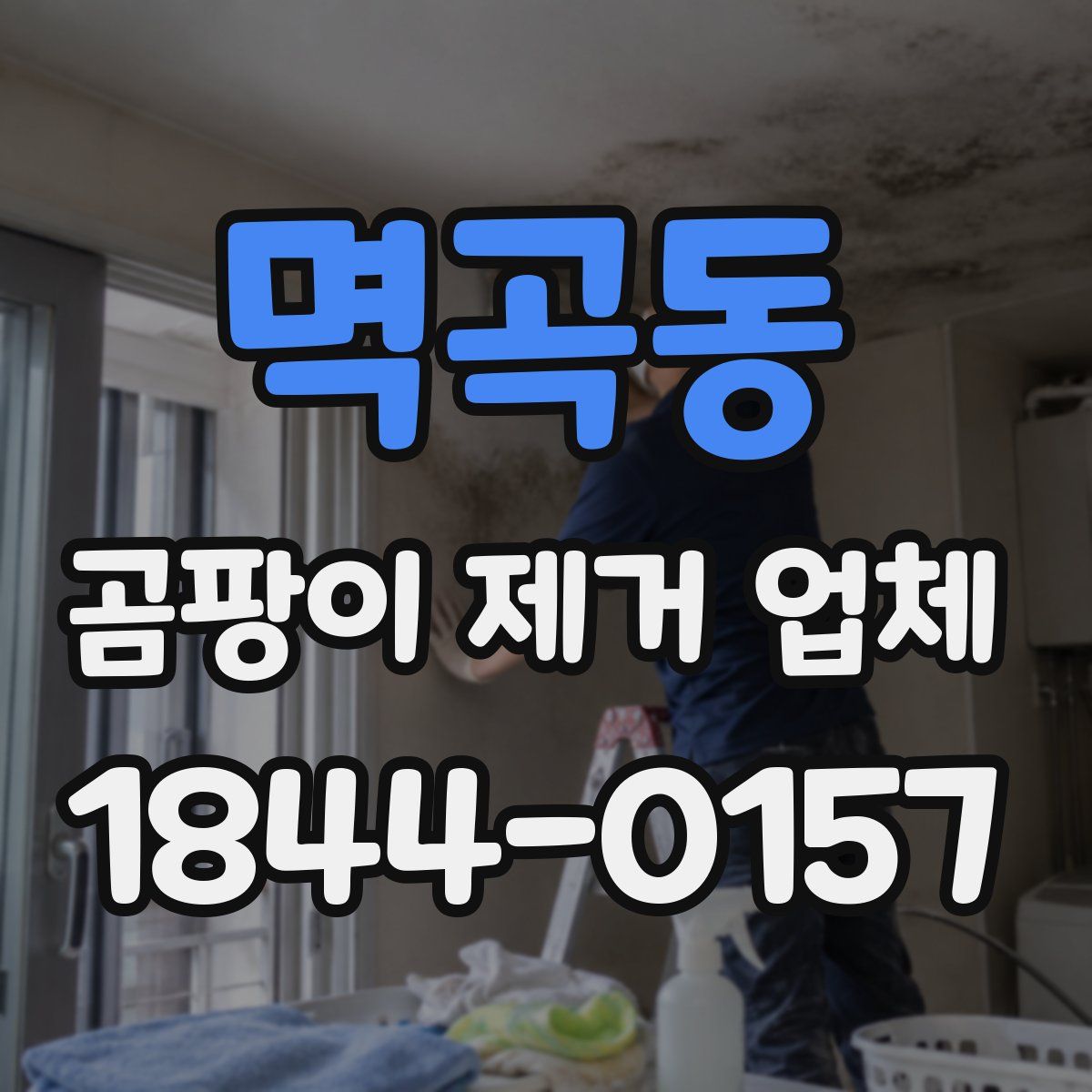 멱곡동 곰팡이 제거 업체