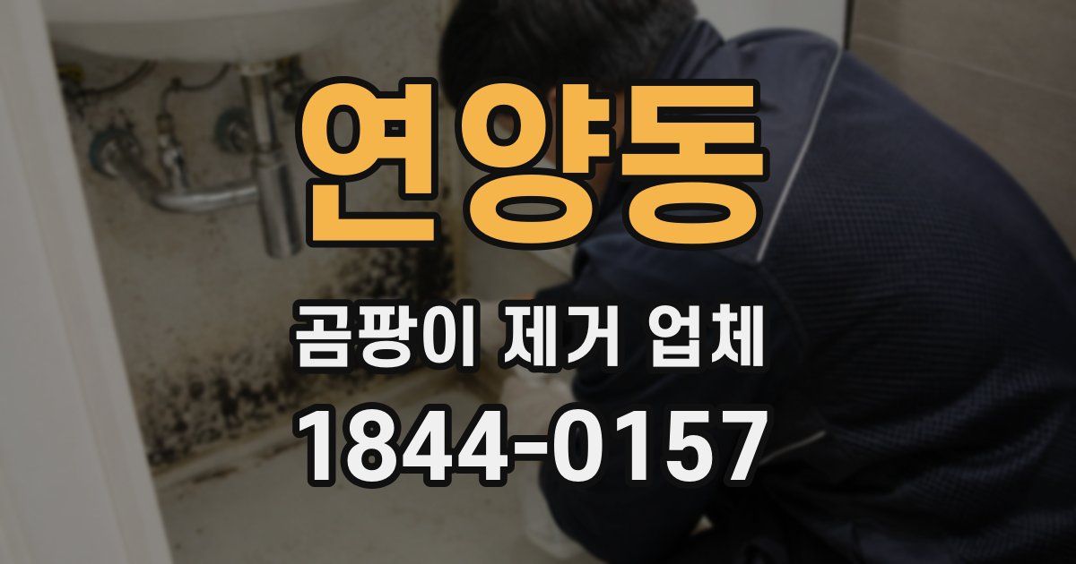 연양동 곰팡이 제거 업체
