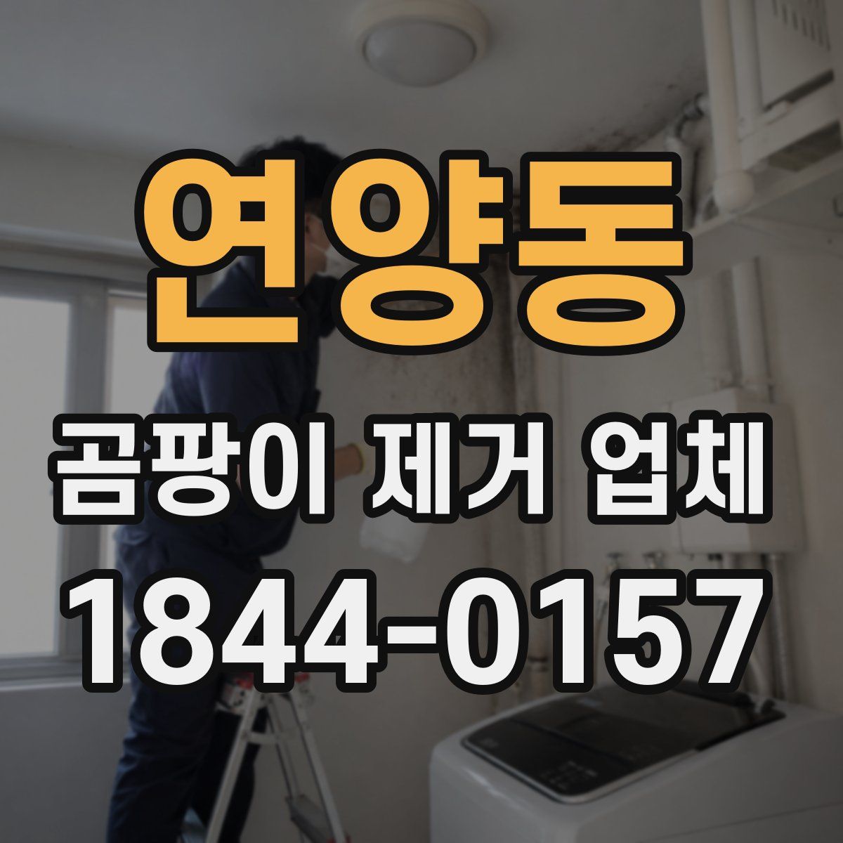 연양동 곰팡이 제거 업체