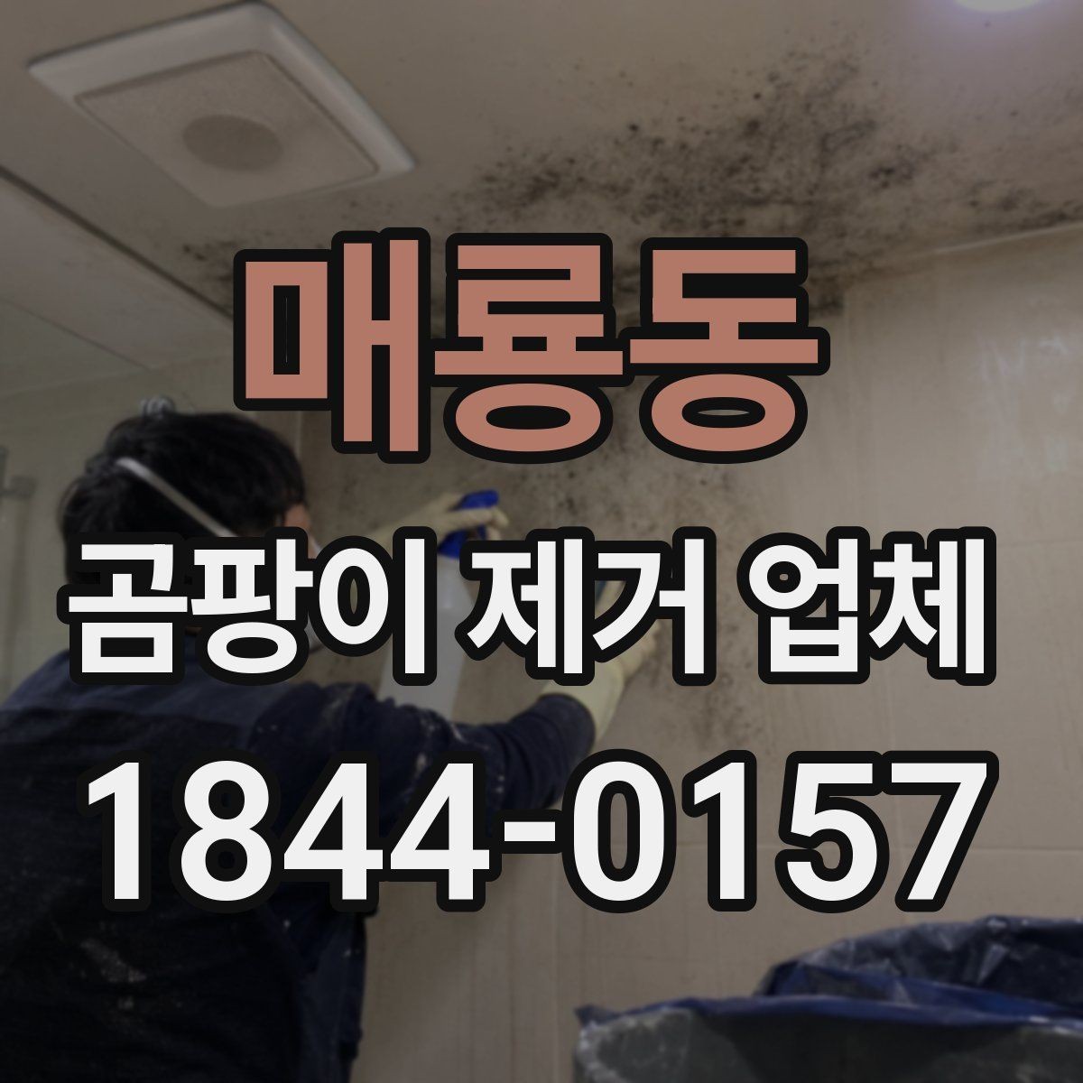 매룡동 곰팡이 제거 업체 마감재 상태를 고려한 손상 최소화 작업
