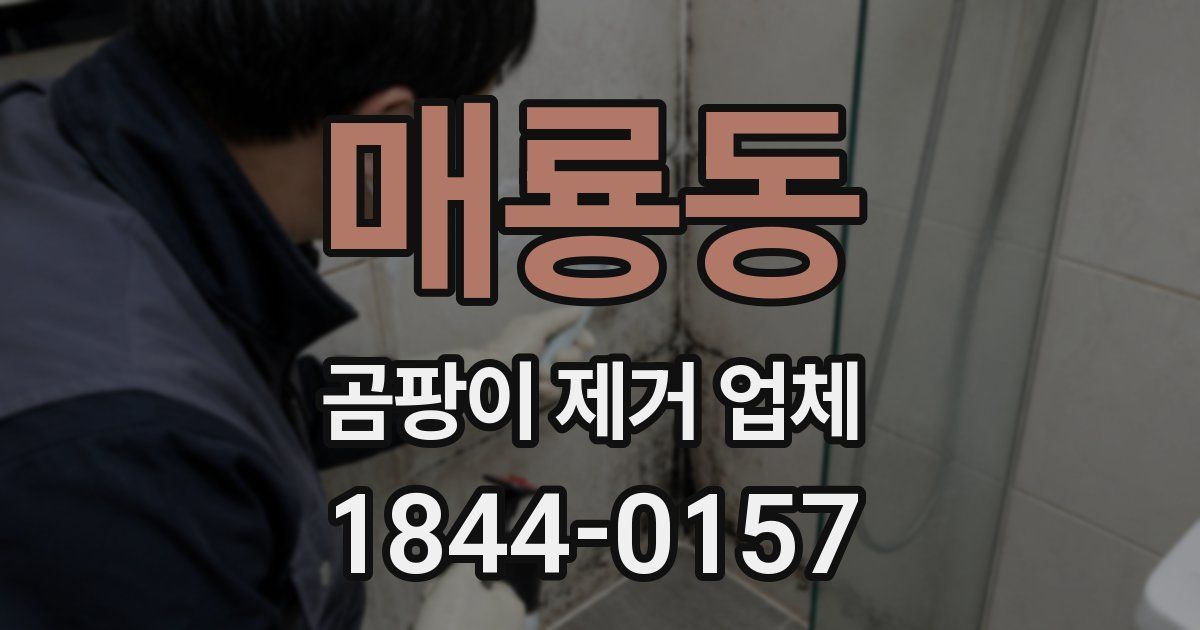 매룡동 곰팡이 제거 업체