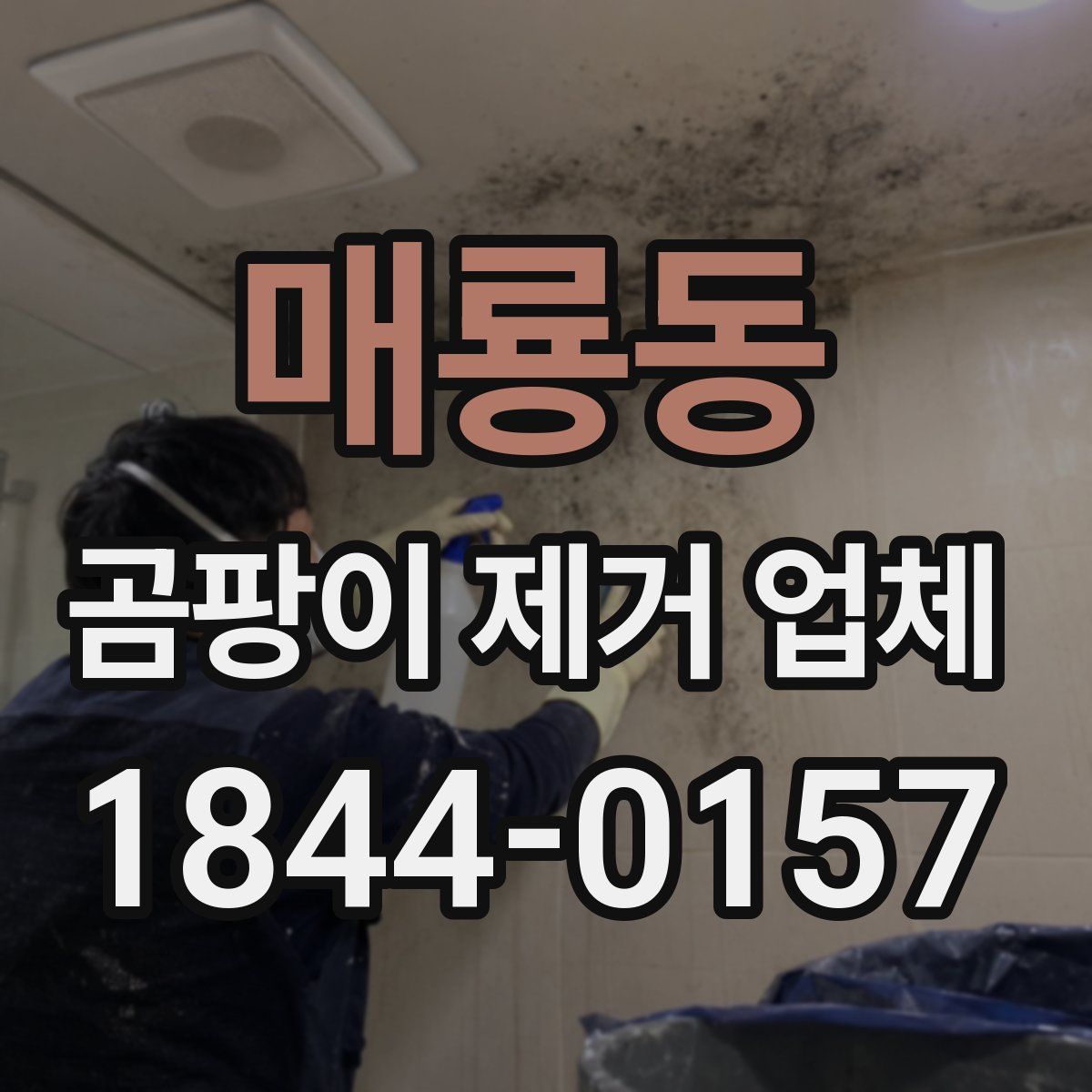 매룡동 곰팡이 제거 업체