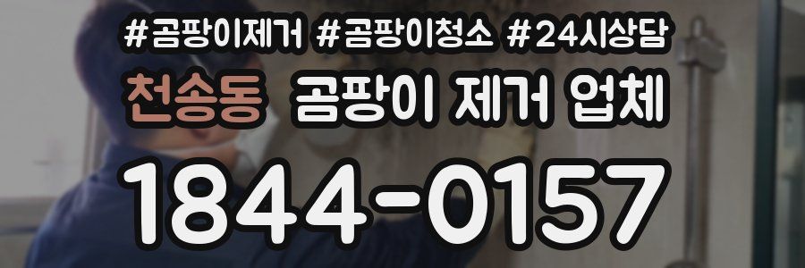 천송동 곰팡이 제거 업체