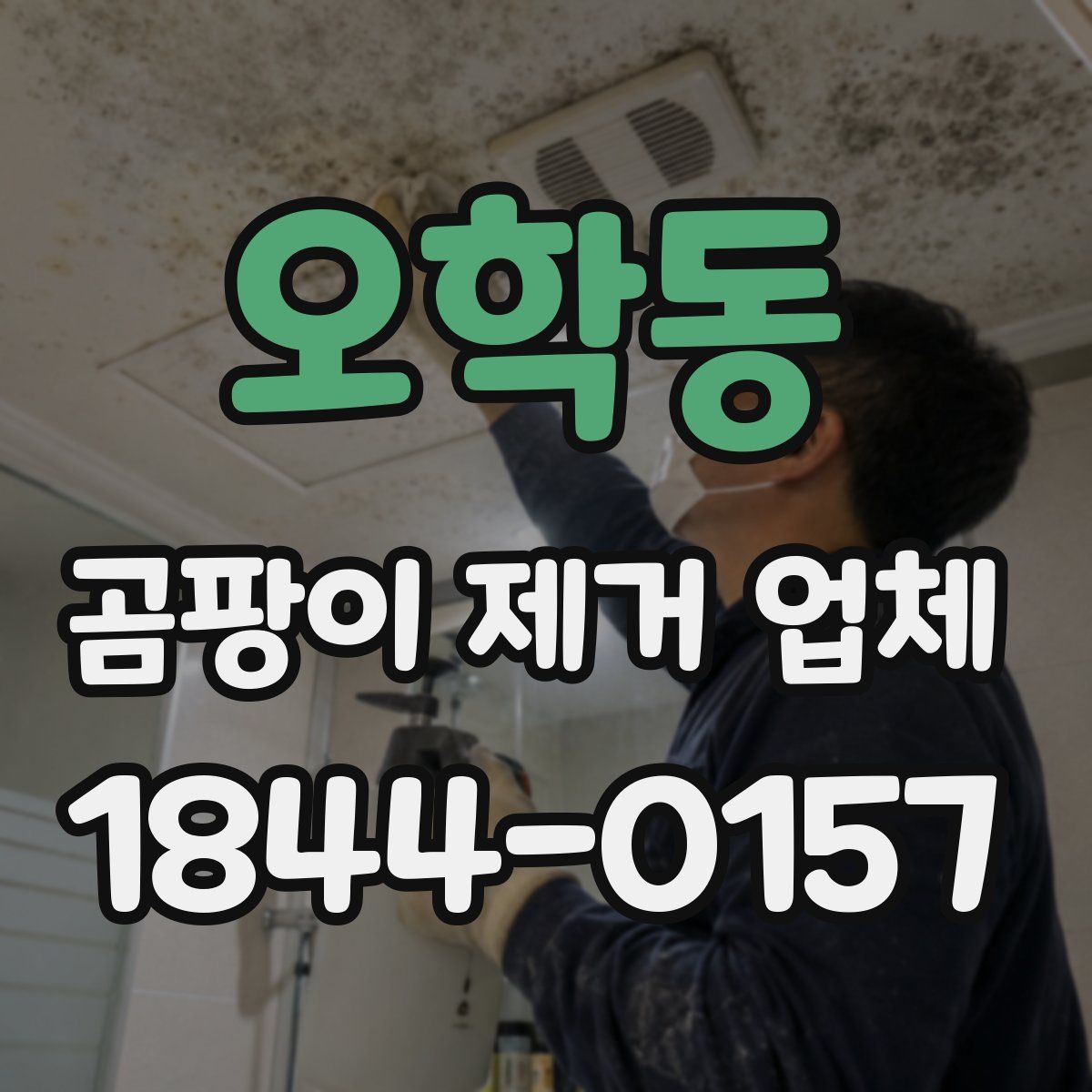 오학동 곰팡이 제거 업체