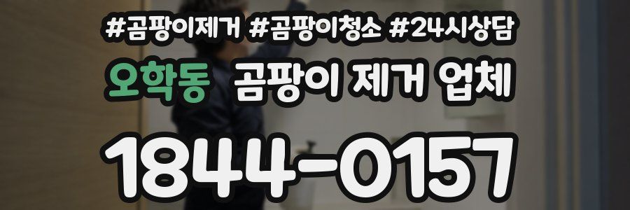 오학동 곰팡이 제거 업체