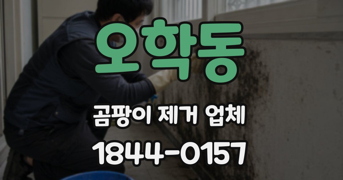 오학동 곰팡이 제거 업체