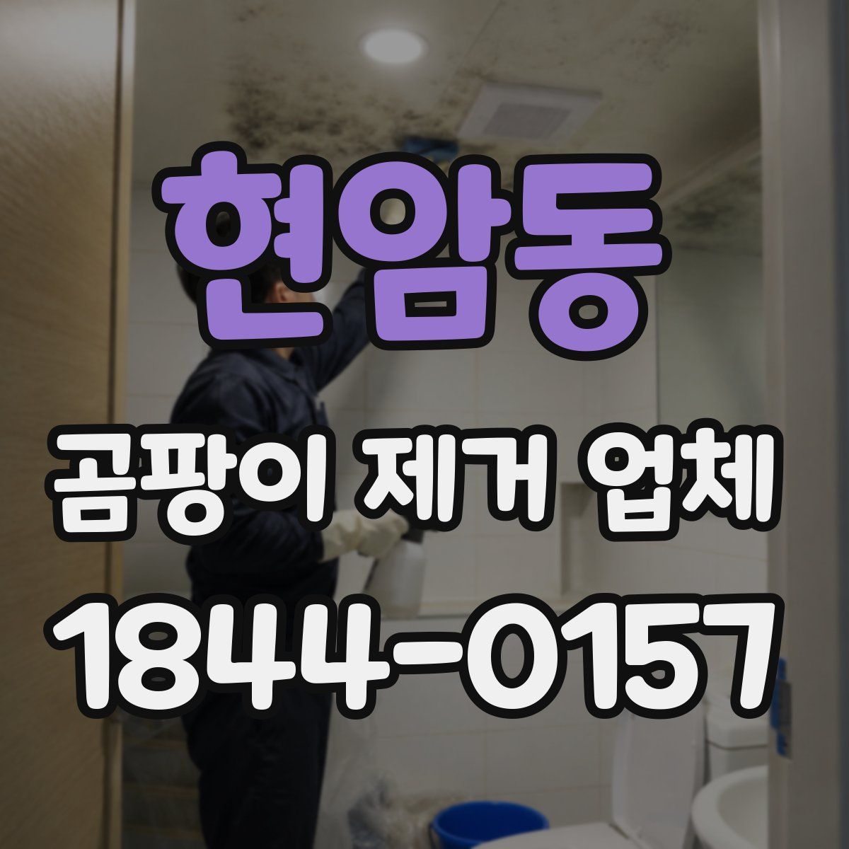 현암동 곰팡이 제거 업체