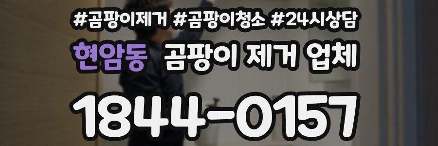 현암동 곰팡이 제거 업체