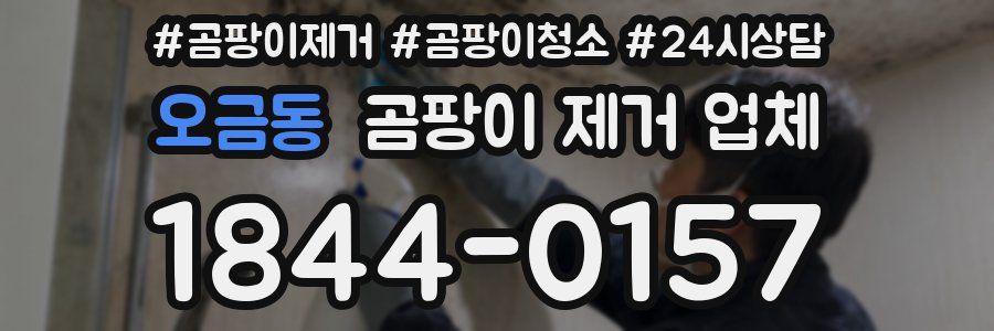 오금동 곰팡이 제거 업체