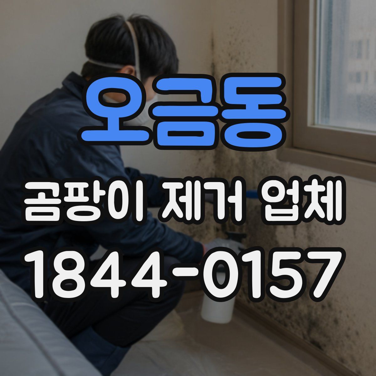 오금동 곰팡이 제거 업체