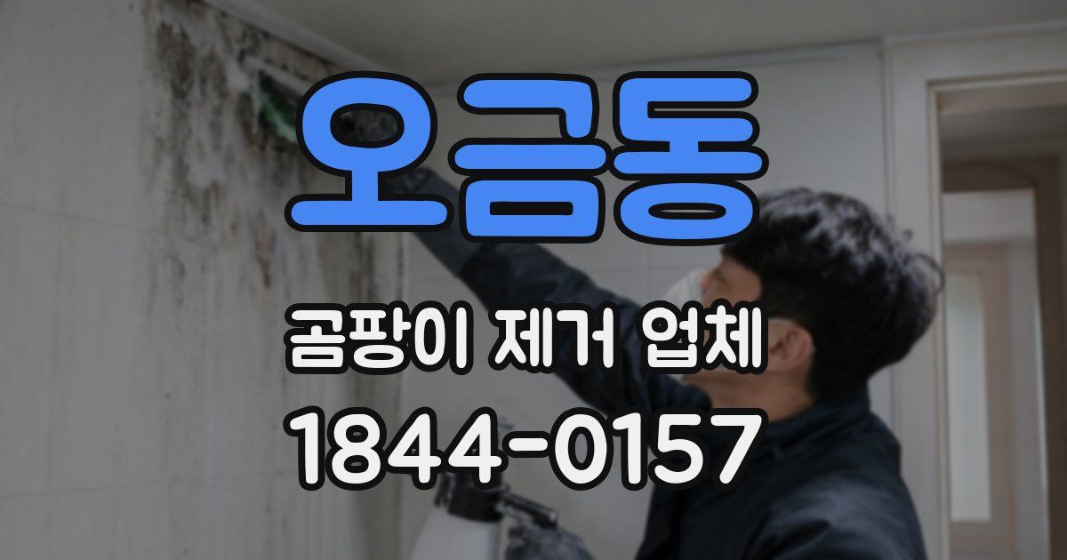 오금동 곰팡이 제거 업체