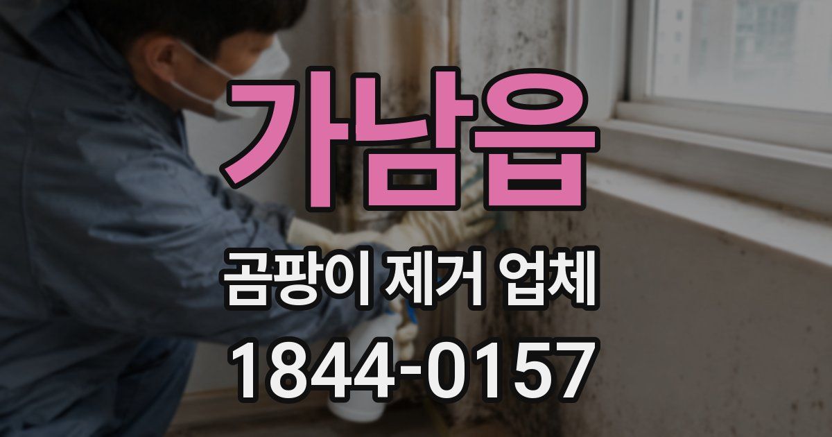 가남읍 곰팡이 제거 업체
