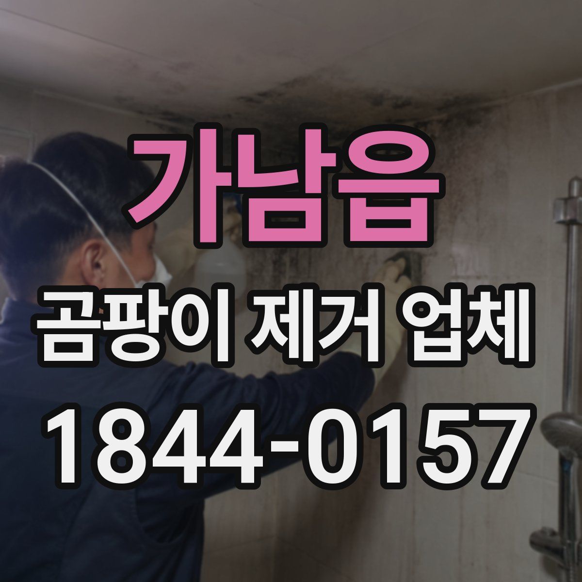 가남읍 곰팡이 제거 업체