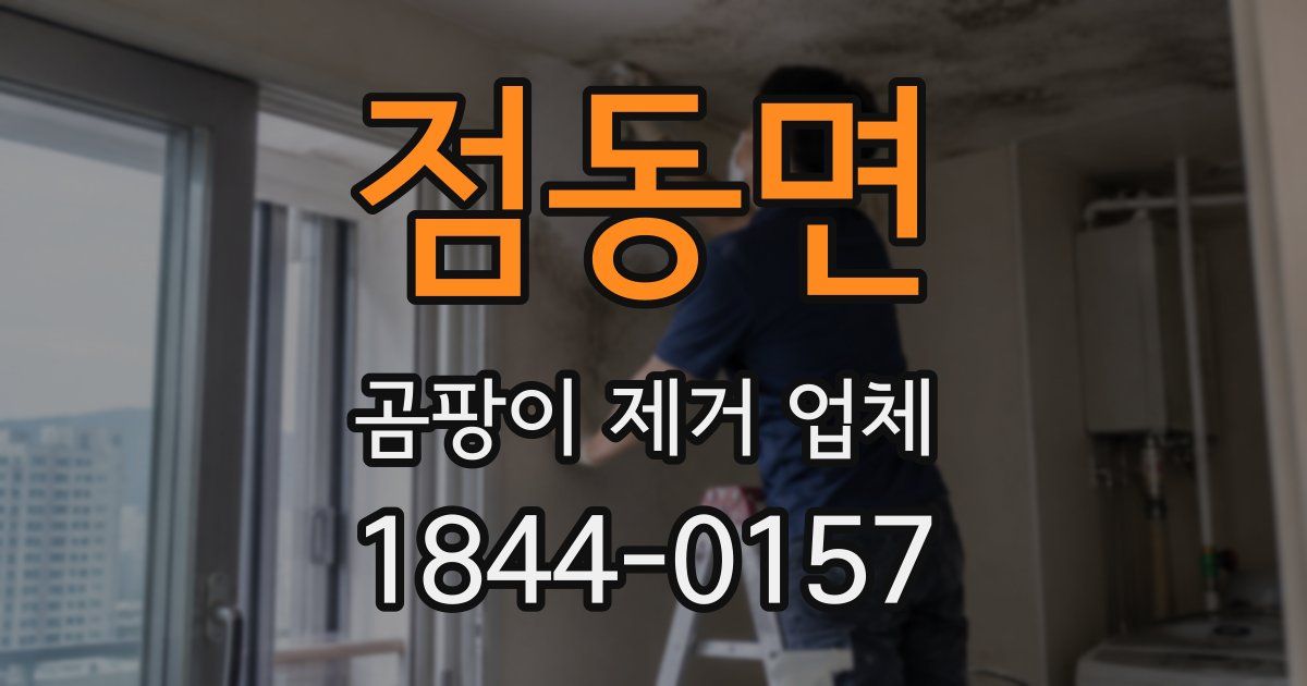 점동면 곰팡이 제거 업체