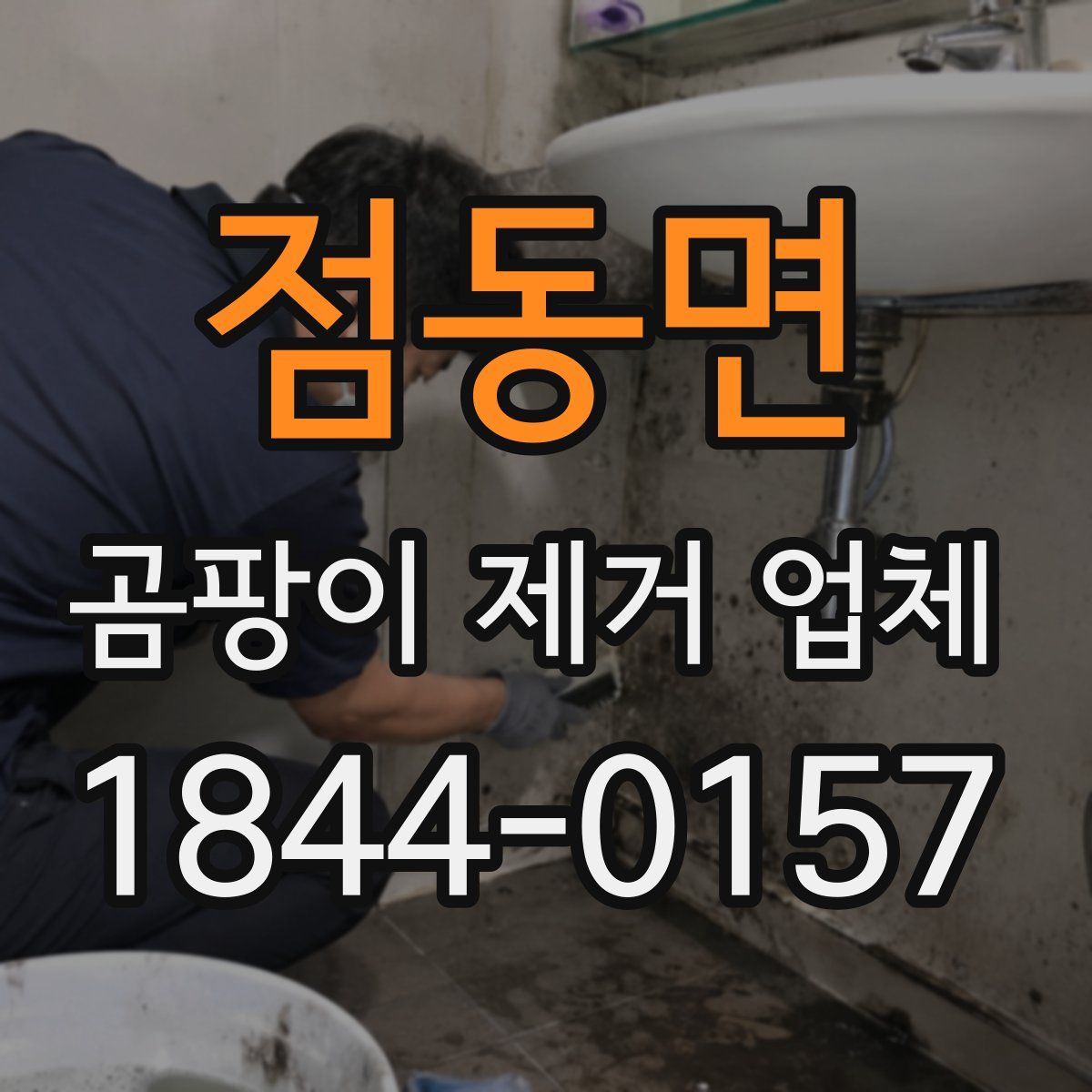 점동면 곰팡이 제거 업체
