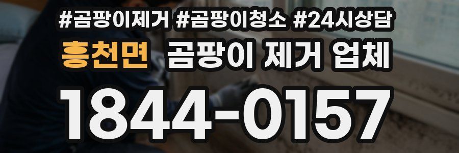 흥천면 곰팡이 제거 업체