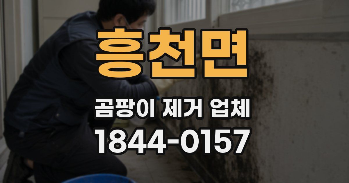 흥천면 곰팡이 제거 업체