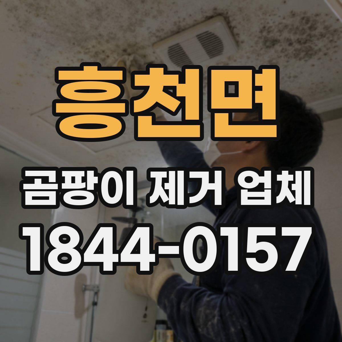 흥천면 곰팡이 제거 업체