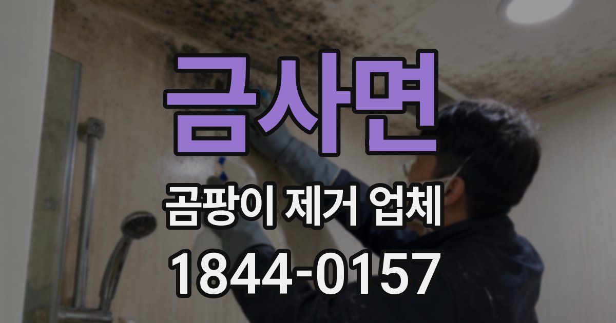 금사면 곰팡이 제거 업체