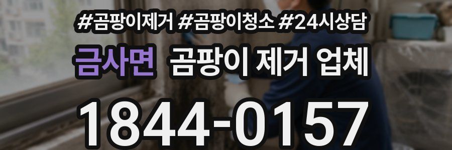 금사면 곰팡이 제거 업체