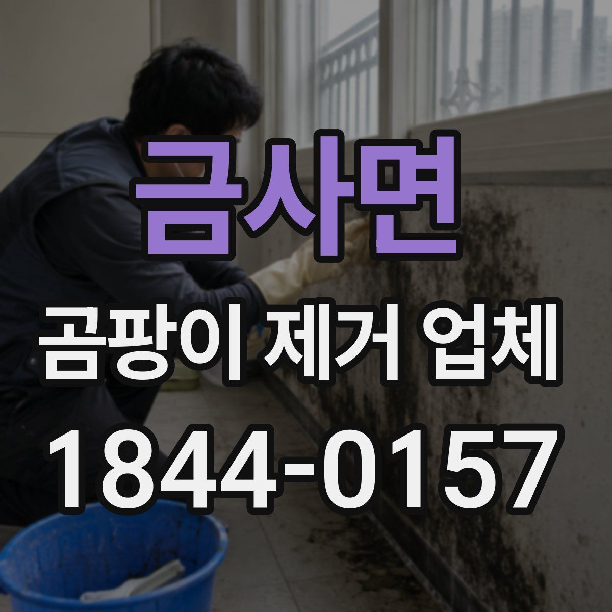 금사면 곰팡이 제거 업체