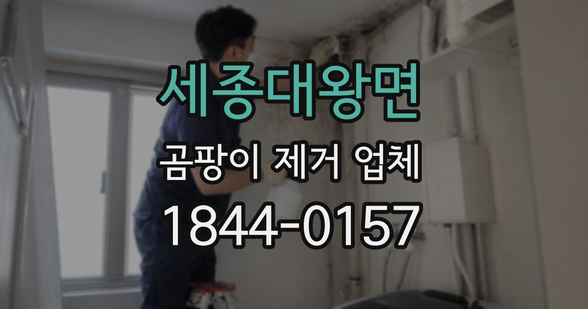 세종대왕면 곰팡이 제거 업체