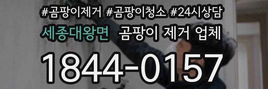 세종대왕면 곰팡이 제거 업체