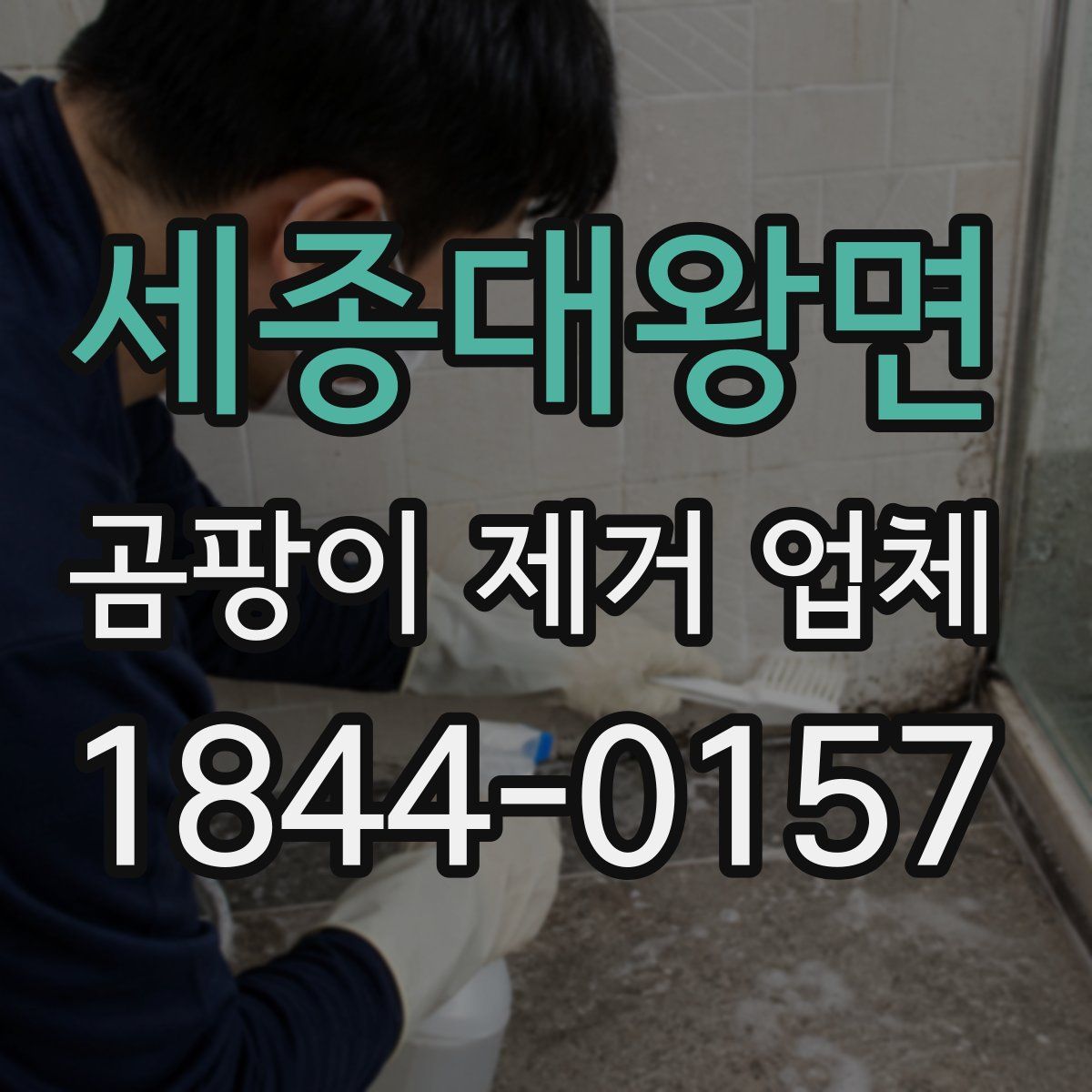 세종대왕면 곰팡이 제거 업체