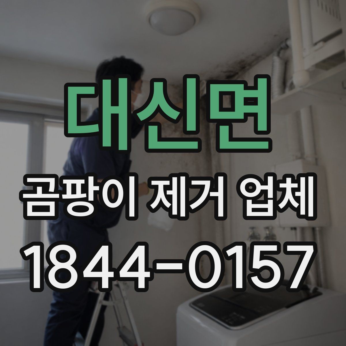 대신면 곰팡이 제거 업체 신축 하자 의심 구간을 먼저 살펴보는 순서