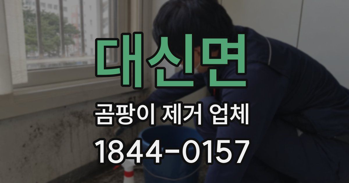 대신면 곰팡이 제거 업체