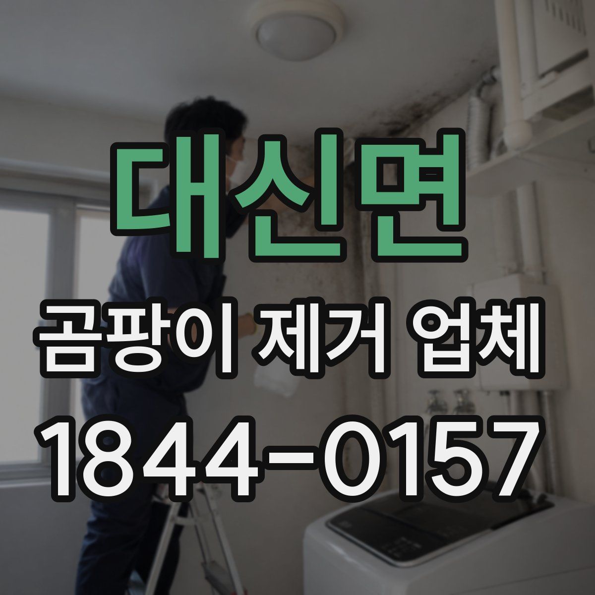 대신면 곰팡이 제거 업체