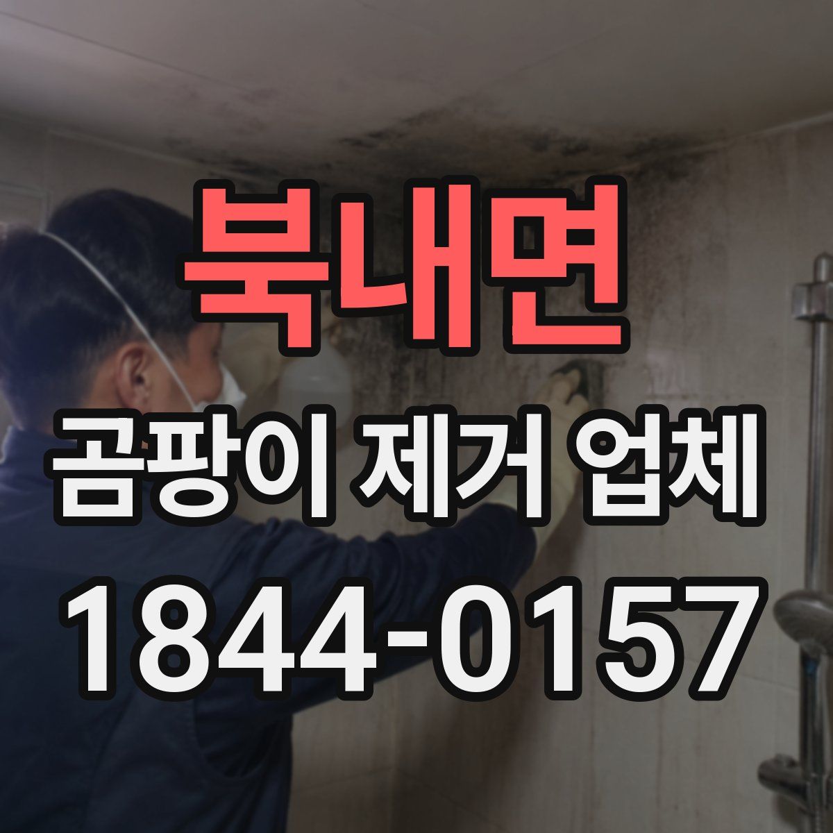 북내면 곰팡이 제거 업체
