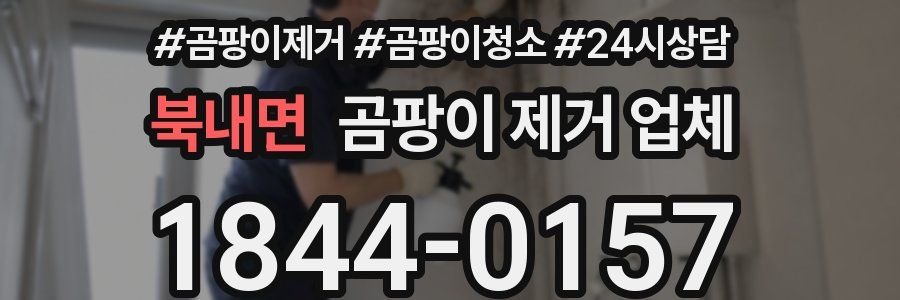 북내면 곰팡이 제거 업체