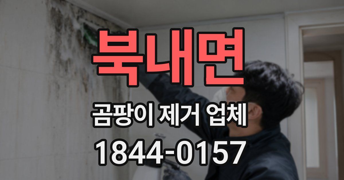 북내면 곰팡이 제거 업체