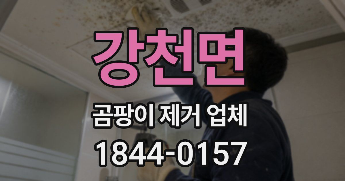 강천면 곰팡이 제거 업체