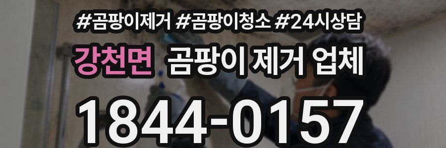 강천면 곰팡이 제거 업체