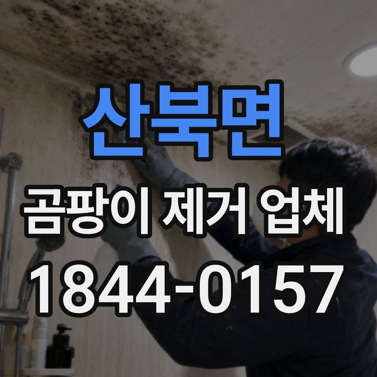 산북면 곰팡이 제거 업체
